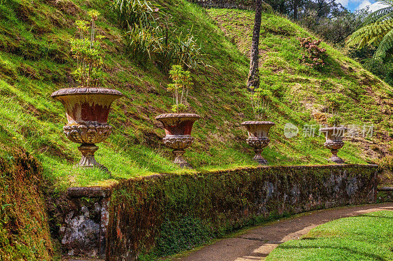 葡萄牙Sao Miguel岛Furnas的Terra Nostra植物园